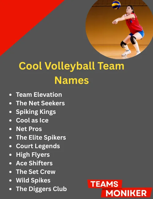 cool volleyball team names