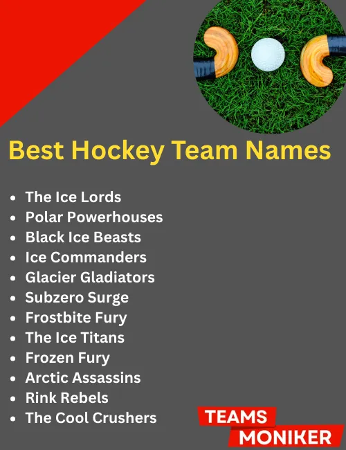 best hockey team names