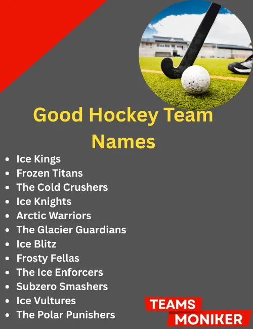 good hockey team names
