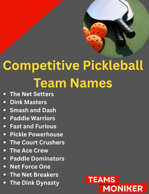 competitive pickleball team names