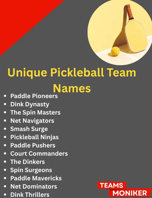 unique pickleball team names