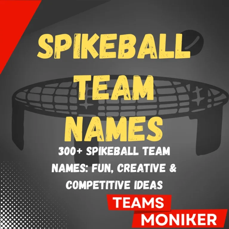 Spikeball Team Names