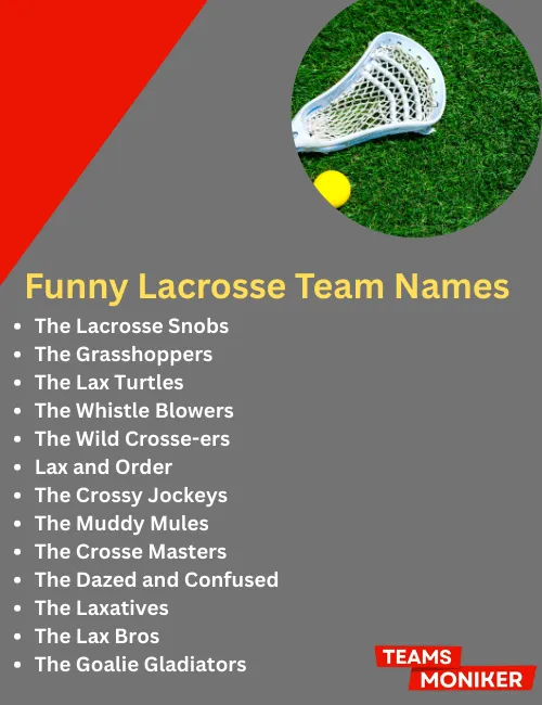 funny lacrosse team names