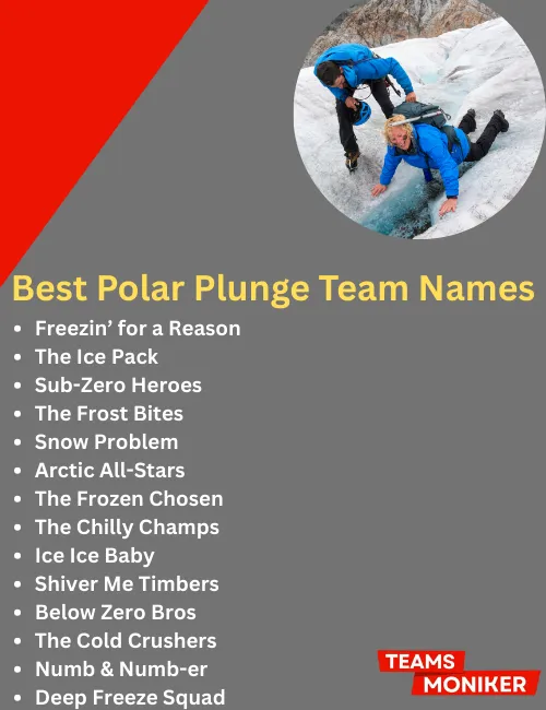 best polar plunge team names