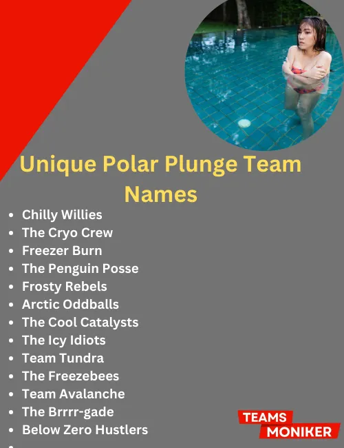 unique polar plunge team names