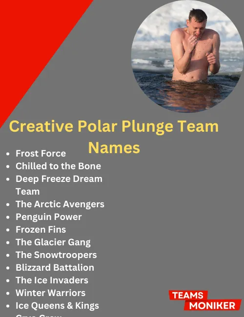 creative polar plunge team names
