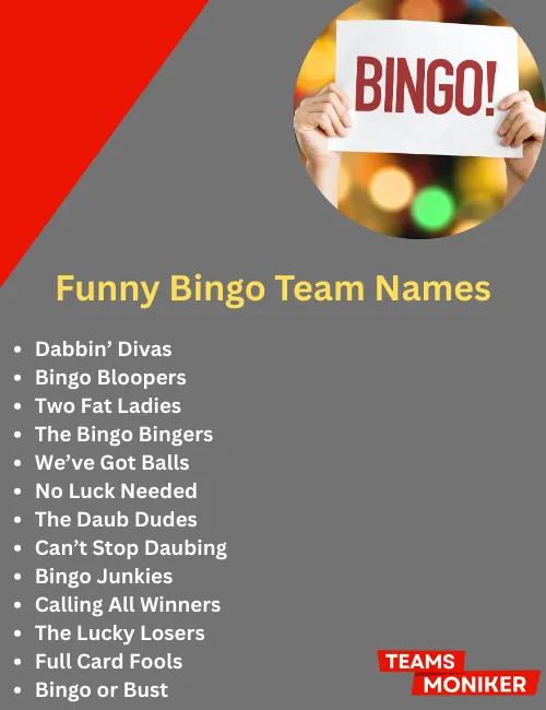 funny bingo team names