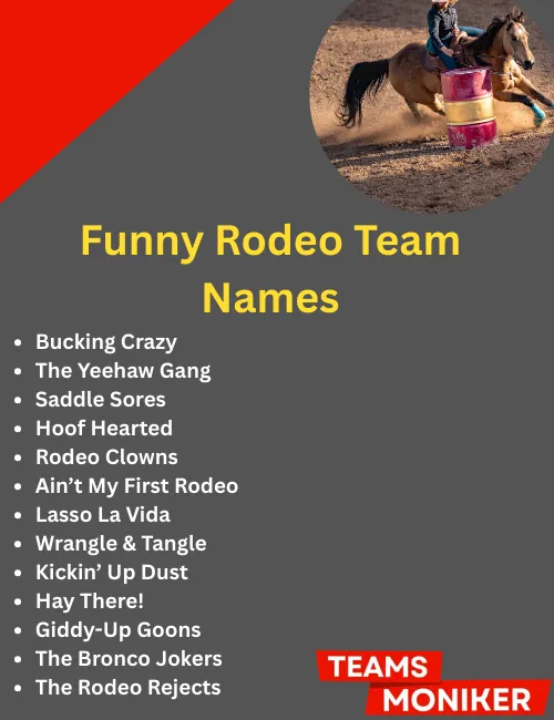 funny rodeo team names