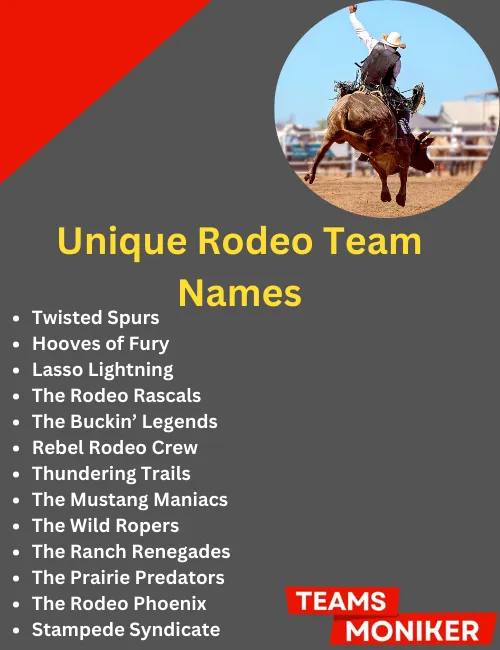 unique rodeo team names