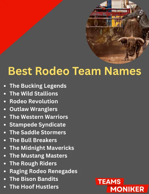 best rodeo team names