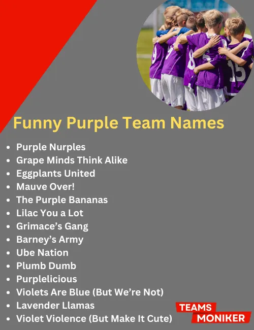 funny purple team names