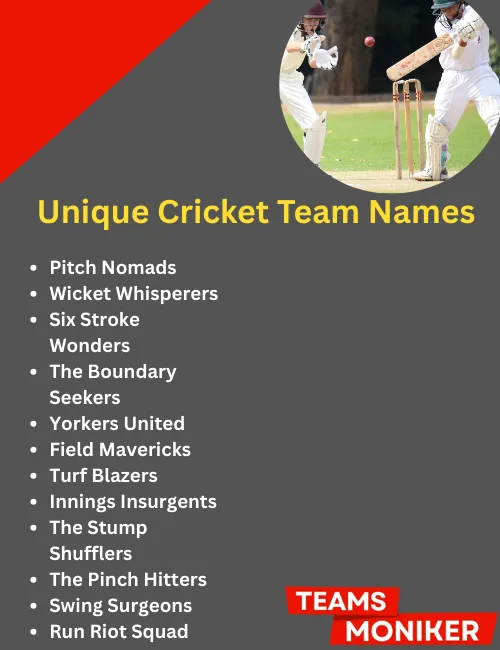unique cricket team names