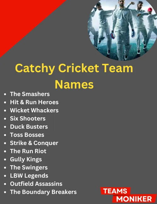 catchy cricket team names