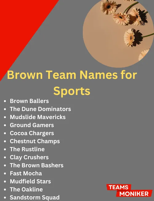 brown team names for sports