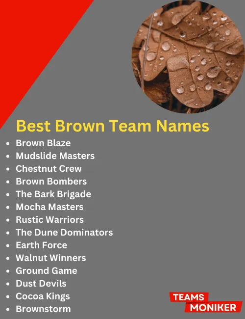 best brown team names