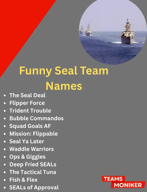 funny seal team names